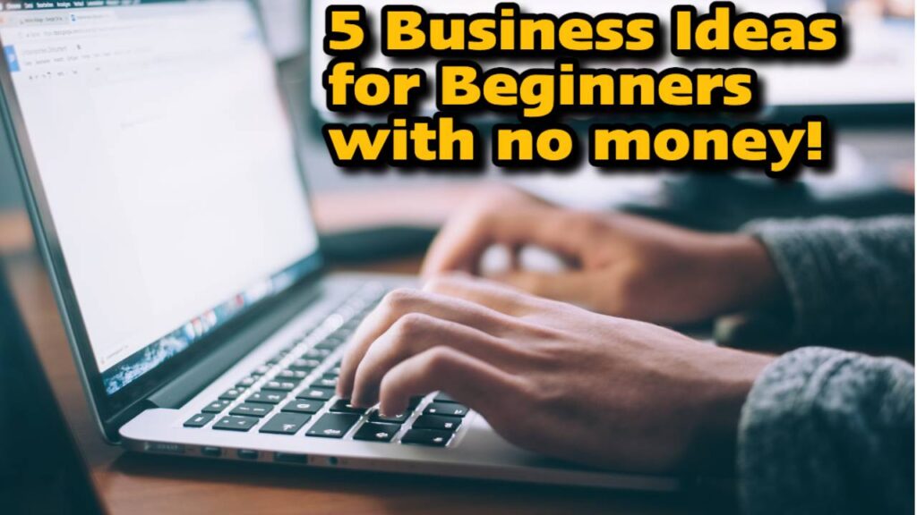 5 Business Ideas for Beginners with without money